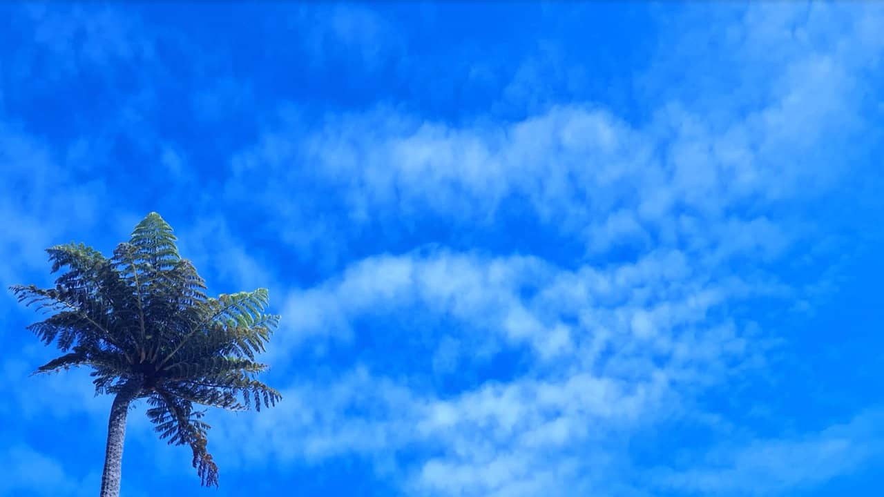 Sunburn backdrop