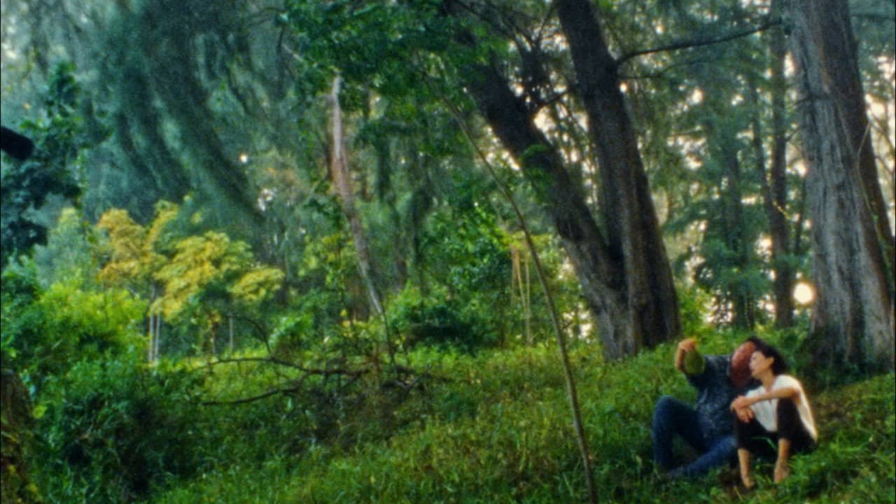 Durian, Durian backdrop