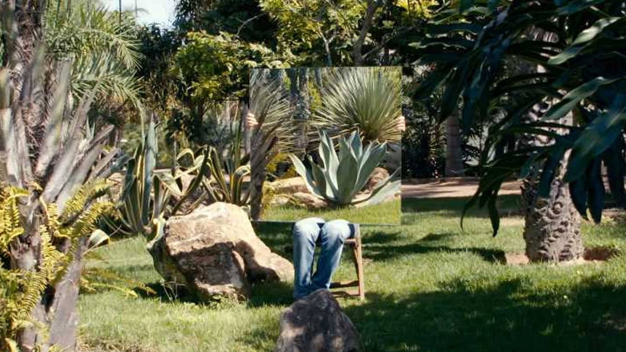 Giuseppe Penone backdrop