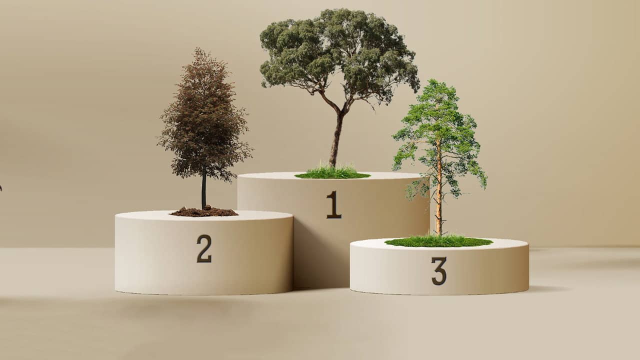 Australia's Favourite Tree backdrop
