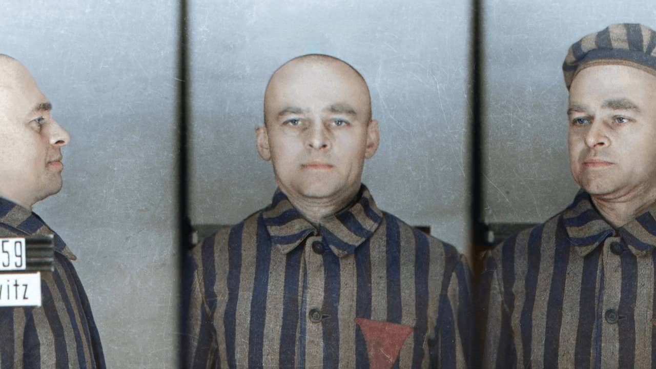 Infiltré à Auschwitz backdrop