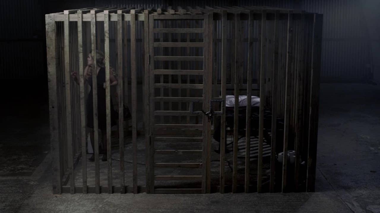Cage backdrop