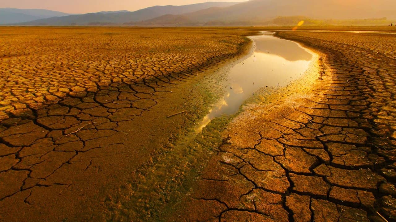 Parched backdrop