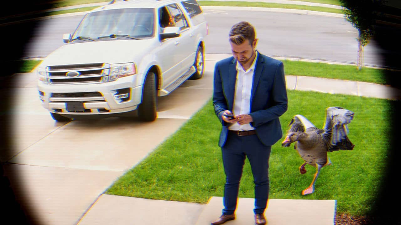 Neighborhood Watch backdrop