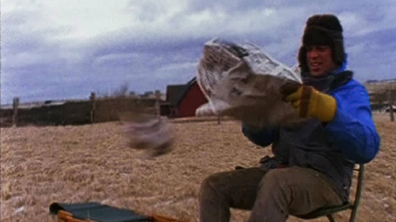 Suêtes backdrop
