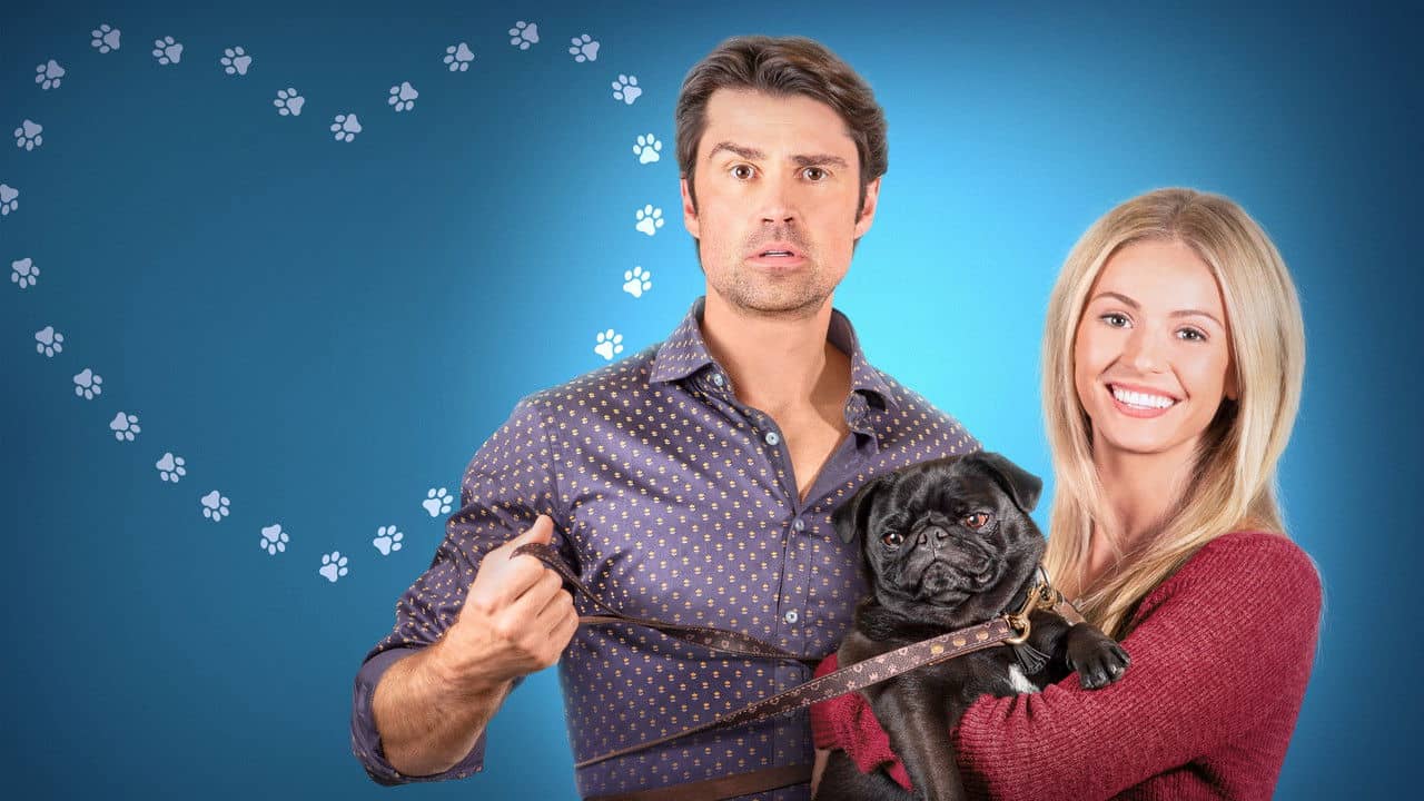 The Dog Lover's Guide to Dating backdrop