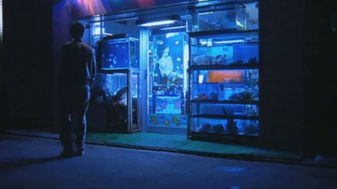 Kakuto backdrop