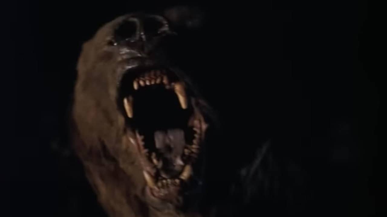 Wild Grizzly backdrop