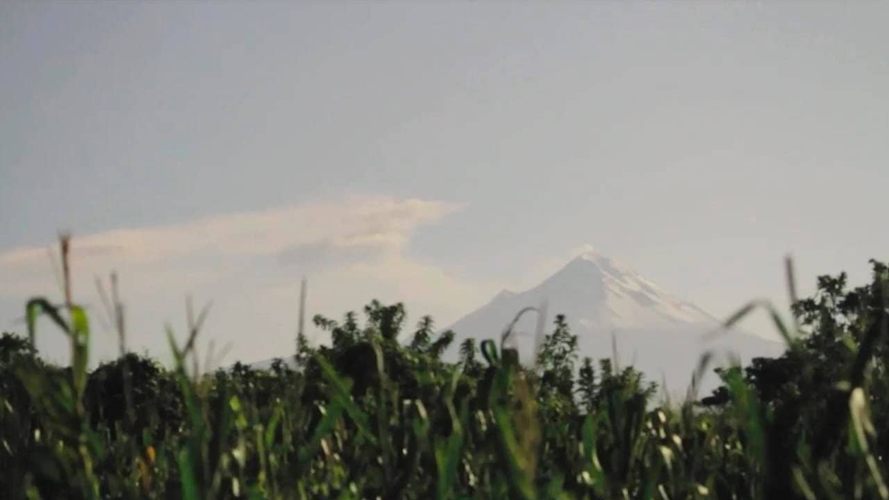 El Niño del Volcán backdrop