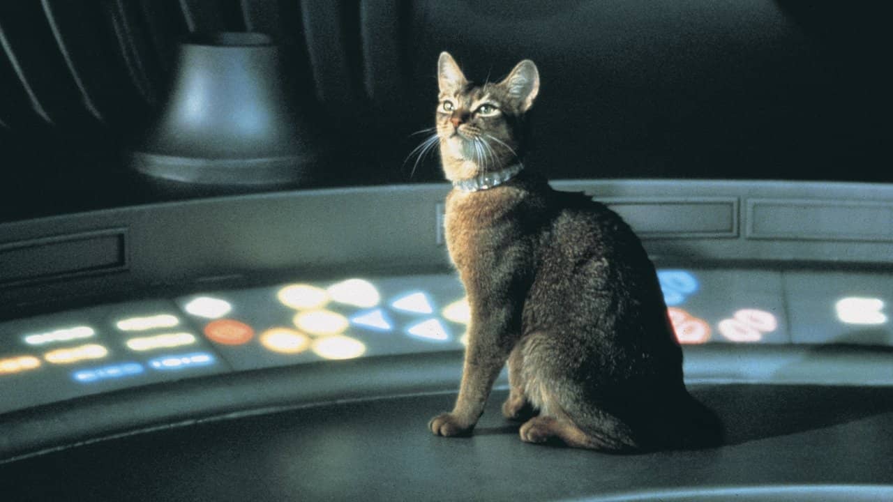 The Cat from Outer Space backdrop