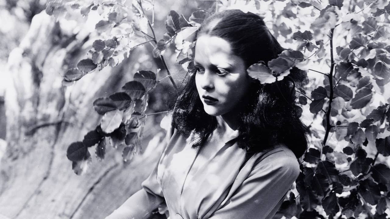 Jungle Woman backdrop