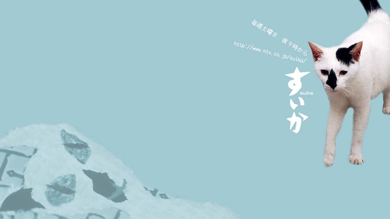 Suika backdrop