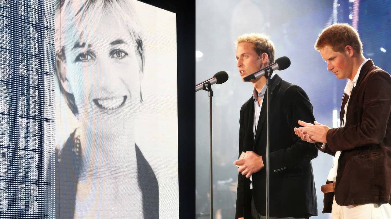 Concert for Diana backdrop