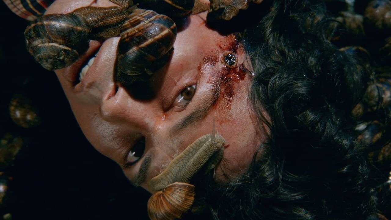 Snails in the Head backdrop