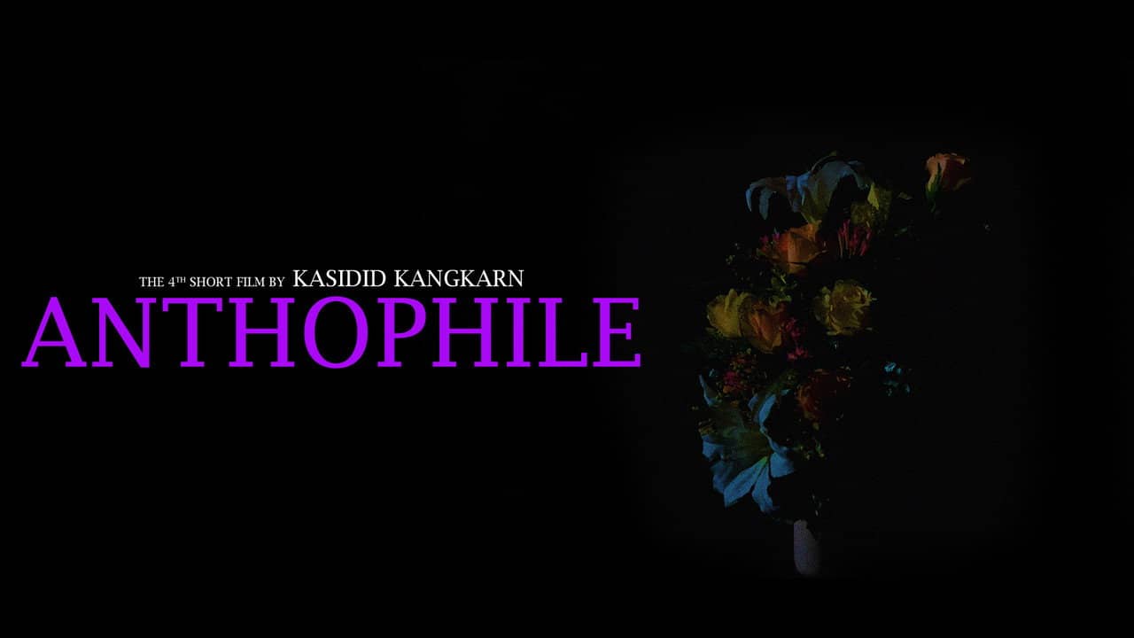 Anthophile backdrop