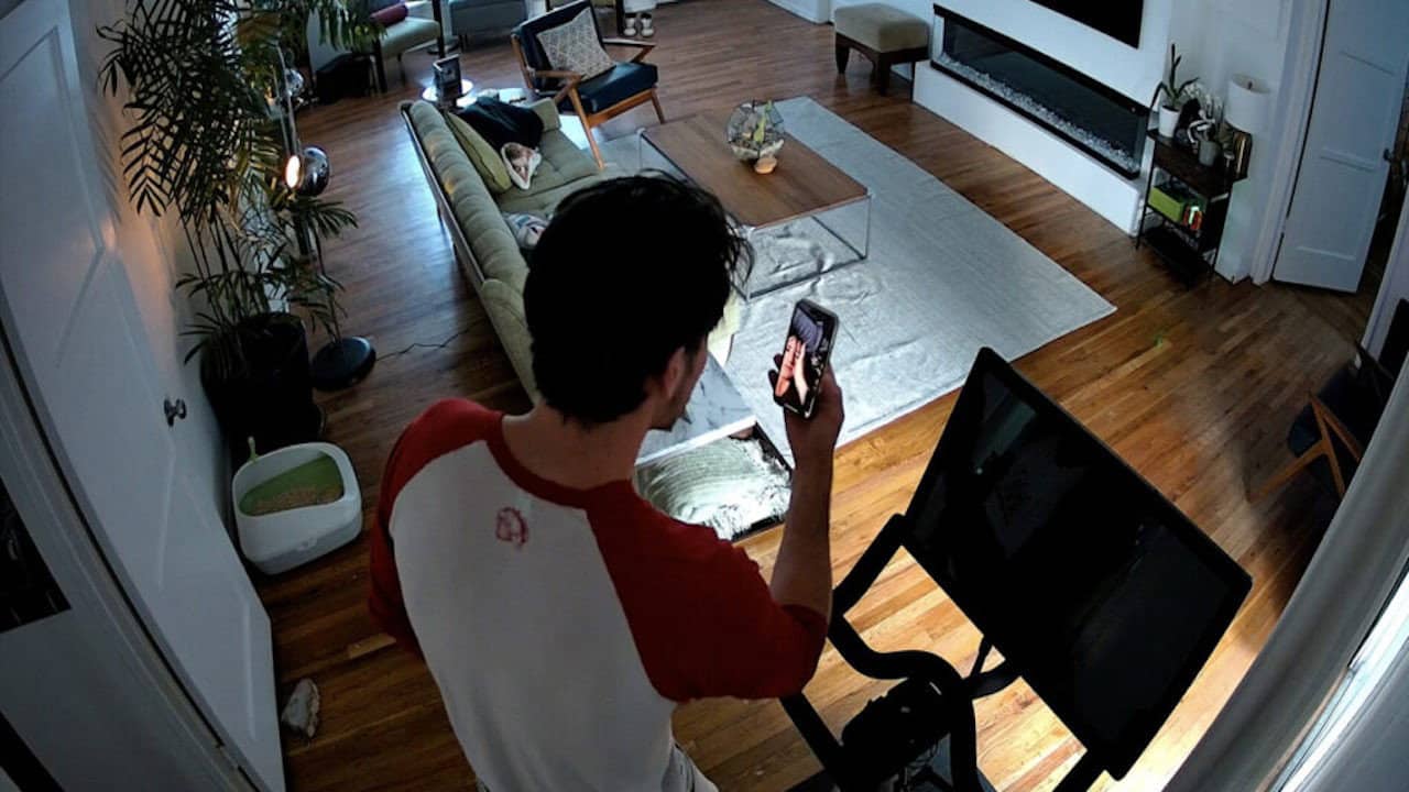 Cat Cam backdrop