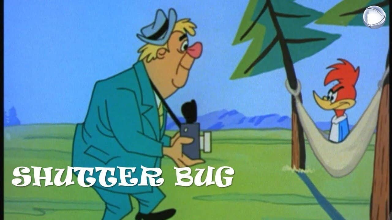 Shutter Bug backdrop