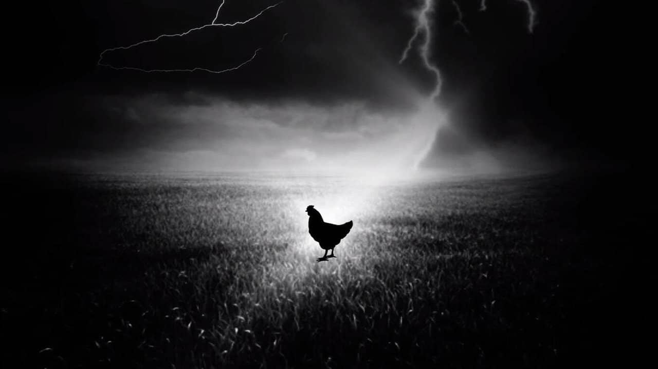 Holy Hen backdrop