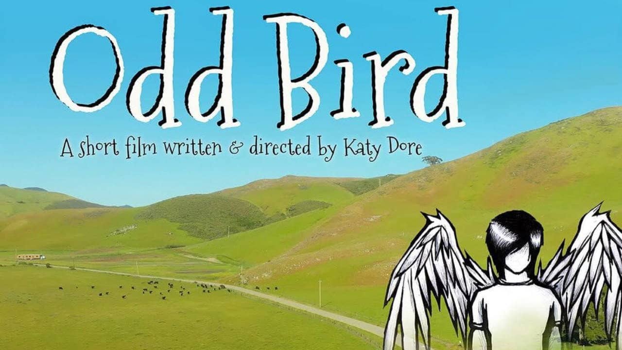 Odd Bird backdrop