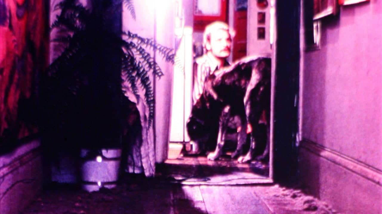 The Mongreloid backdrop