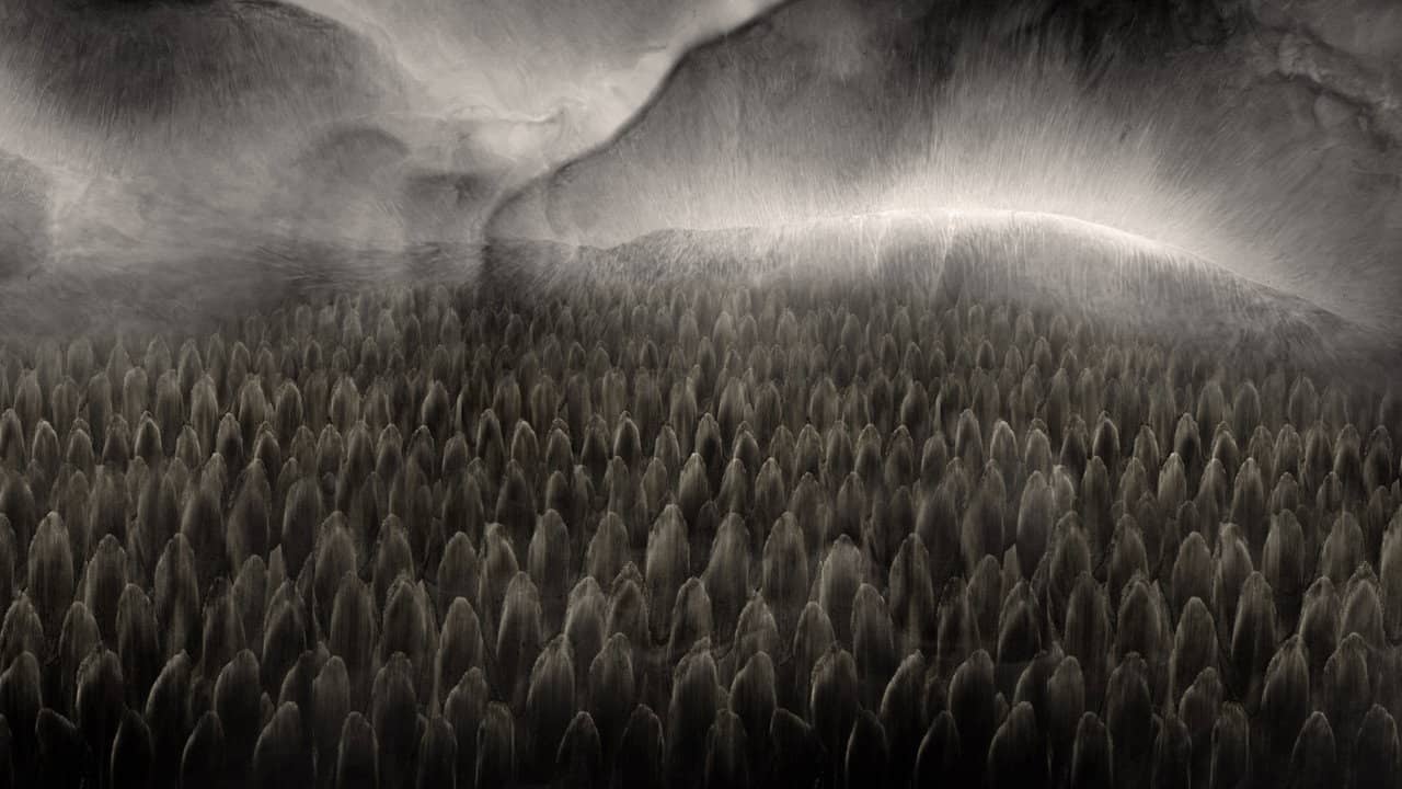 Depersonalization backdrop