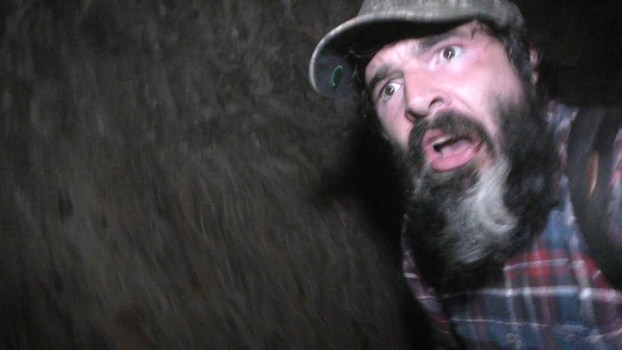 Wilderness Tapes: Volume One backdrop