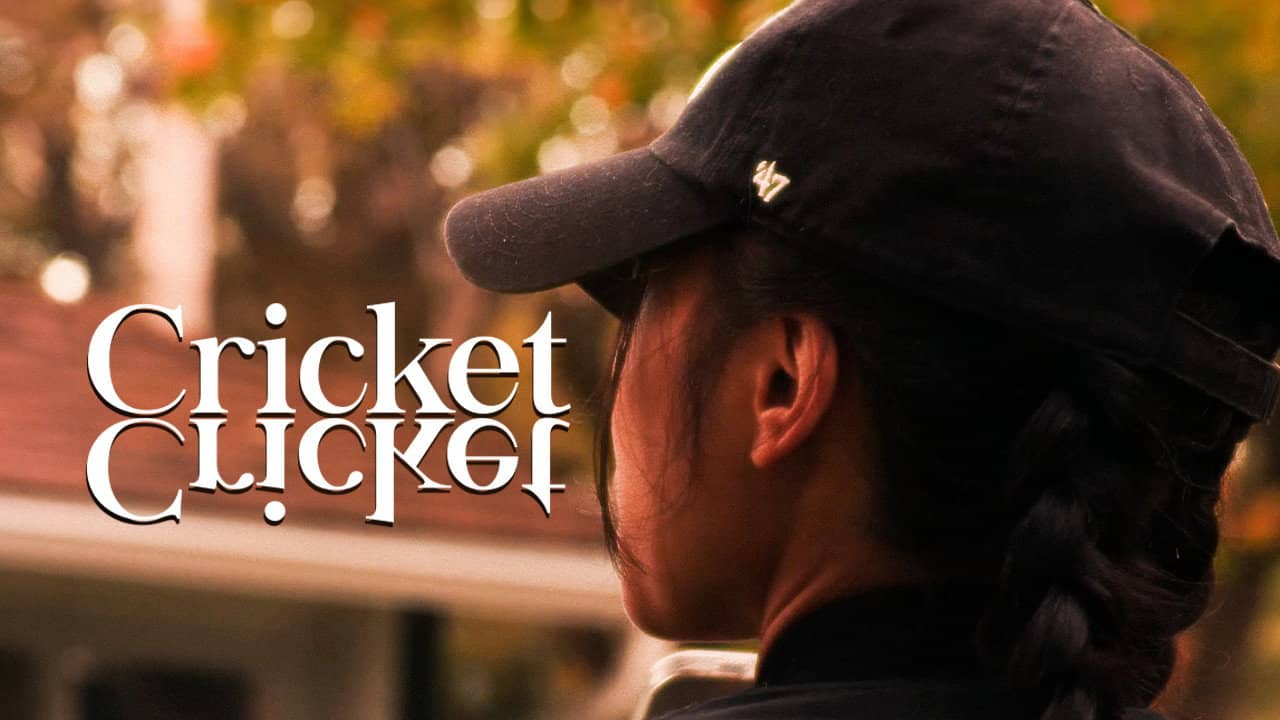 Cricket Cricket backdrop