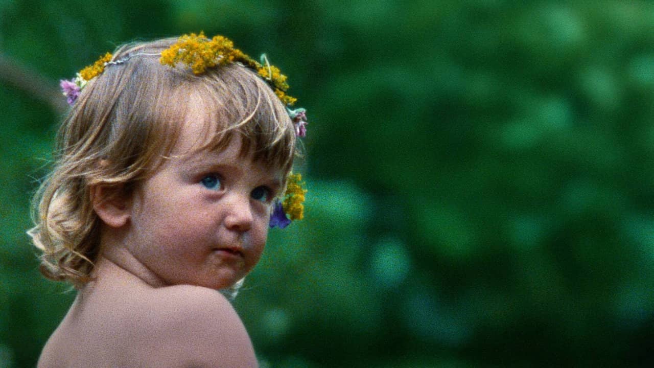 A Real Swedish Midsommar backdrop