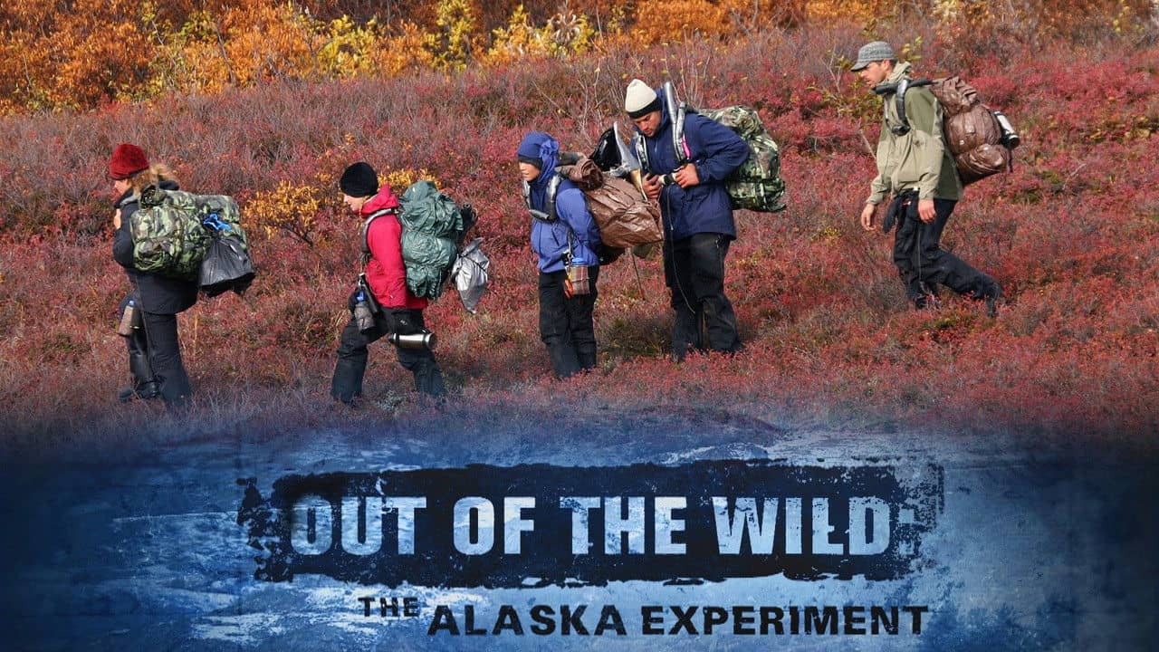 Out of the Wild backdrop