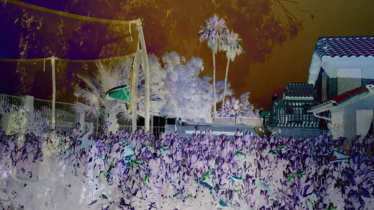 Revisited Remunerations Rapturously Collapse When Recompensed backdrop