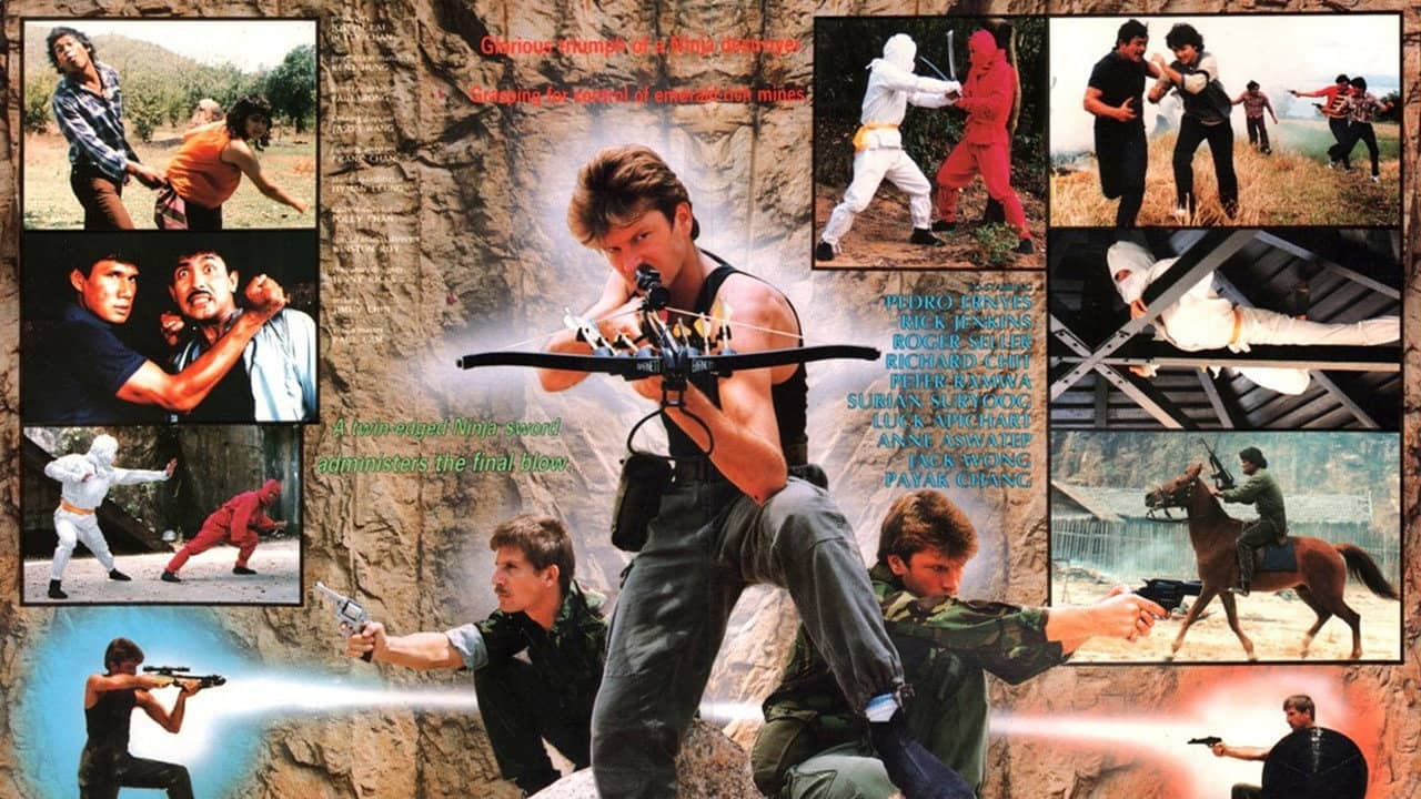 Ninja Destroyer backdrop