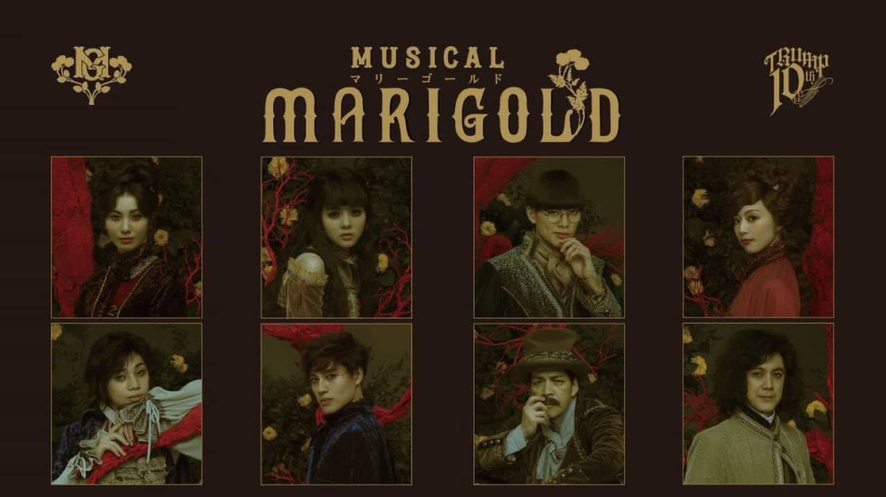 Musical - MARIGOLD- backdrop