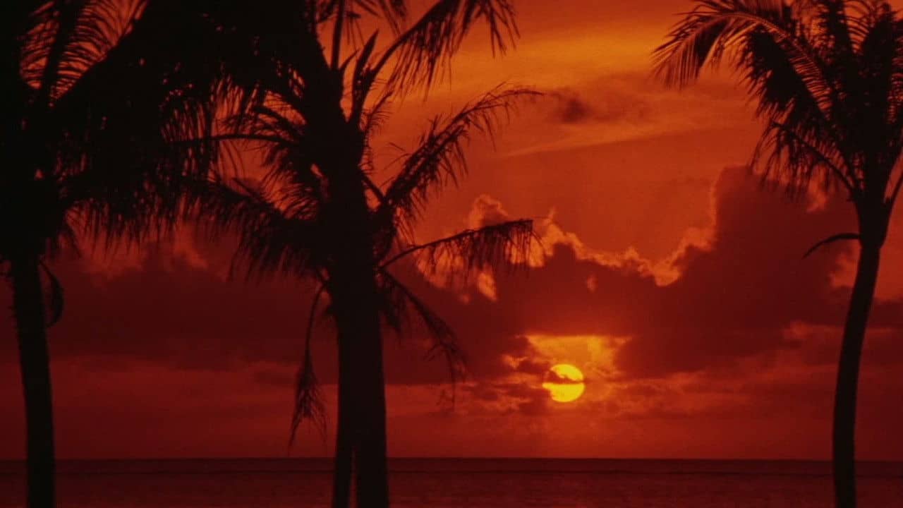 Japanese Godfather: Conclusion backdrop