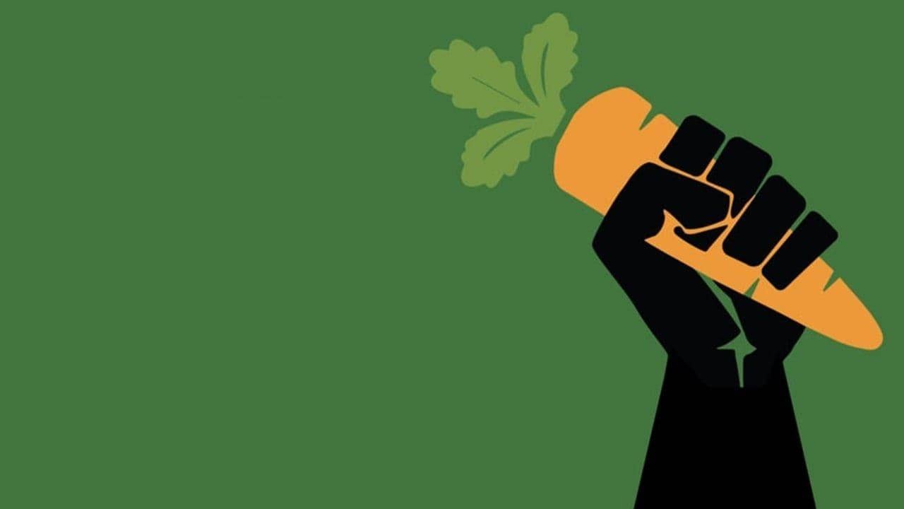 The Invisible Vegan backdrop