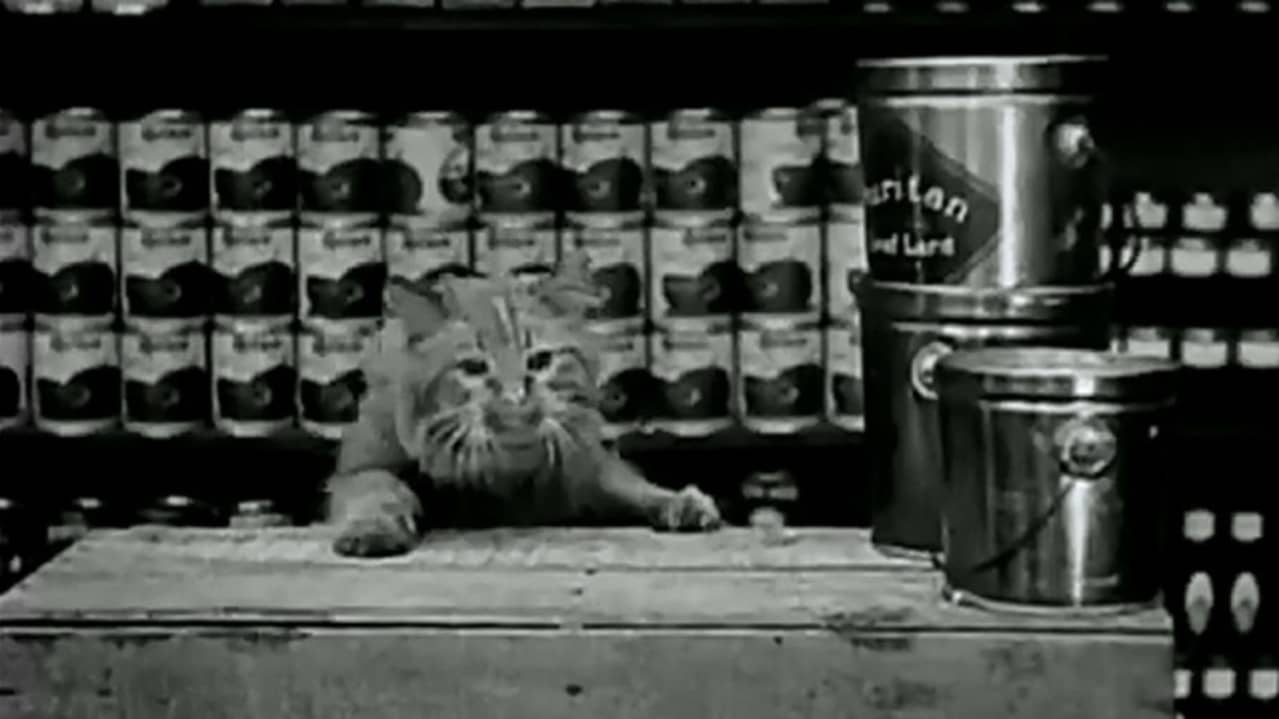 The Grocery Clerk backdrop