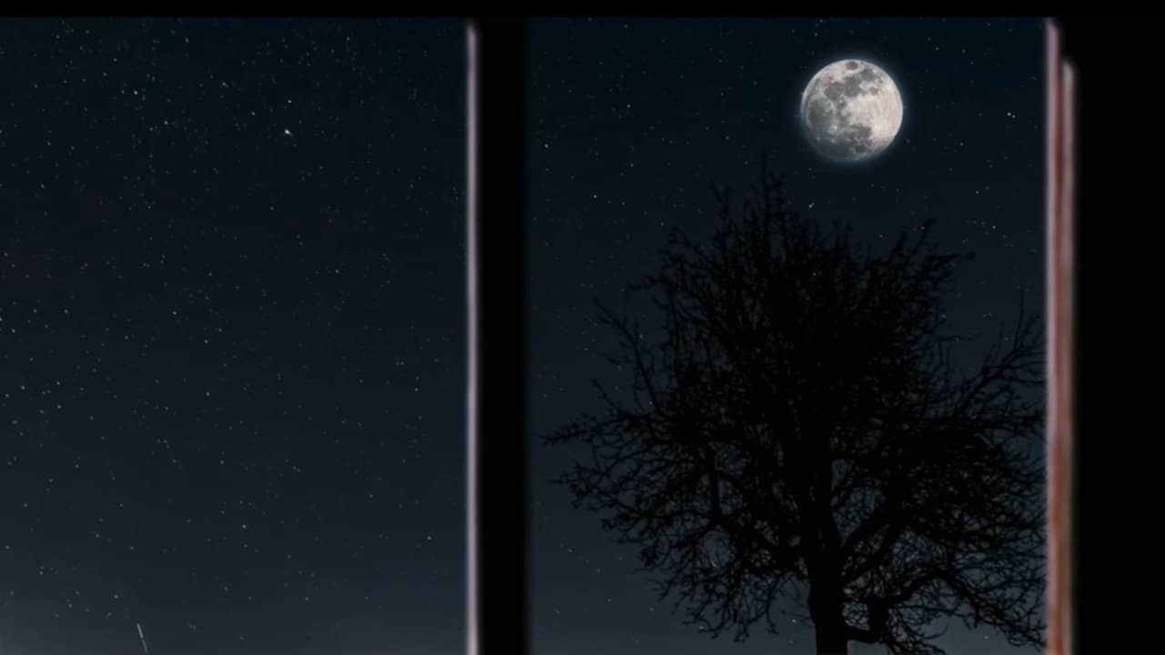 Moon Town backdrop