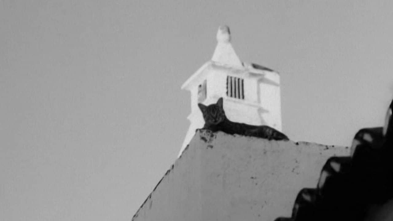 As Pedras e o Tempo backdrop