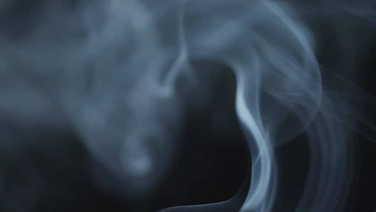 The Cannabis Question backdrop
