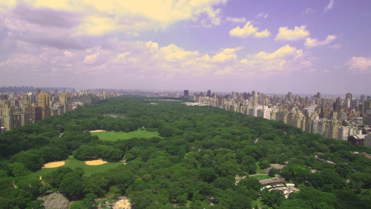 Olmsted and America's Urban Parks backdrop