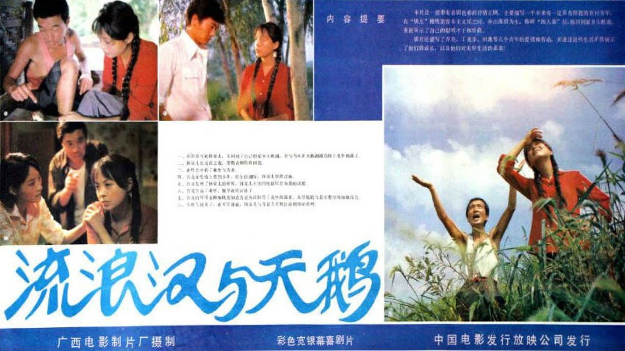 流浪汉与天鹅 backdrop
