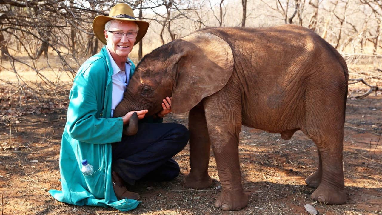Paul O'Grady's Animal Orphans backdrop