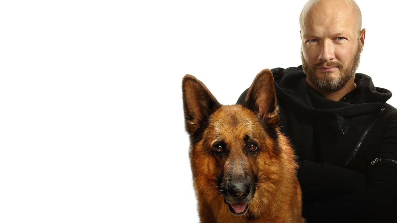 Dog backdrop