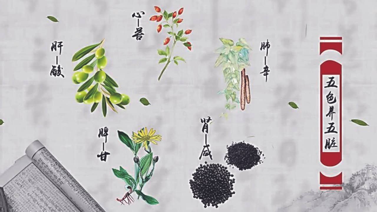 本草传 backdrop