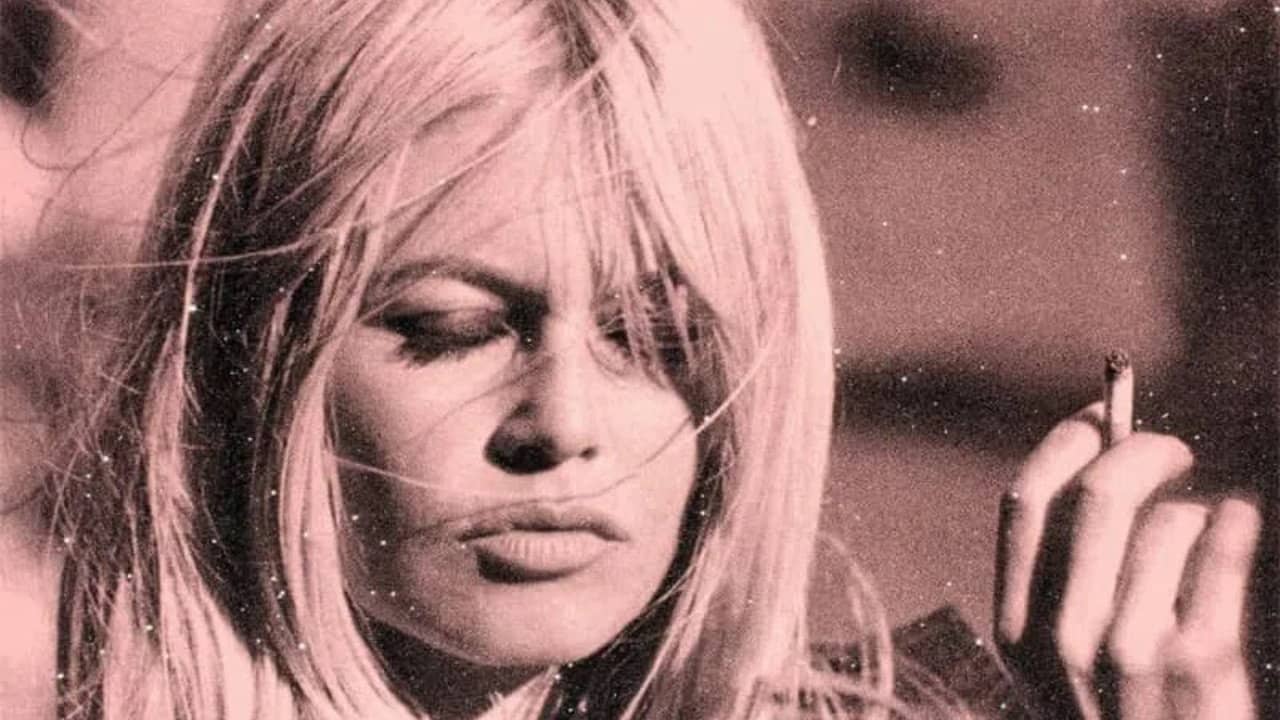 Bardot, The Misunderstanding backdrop