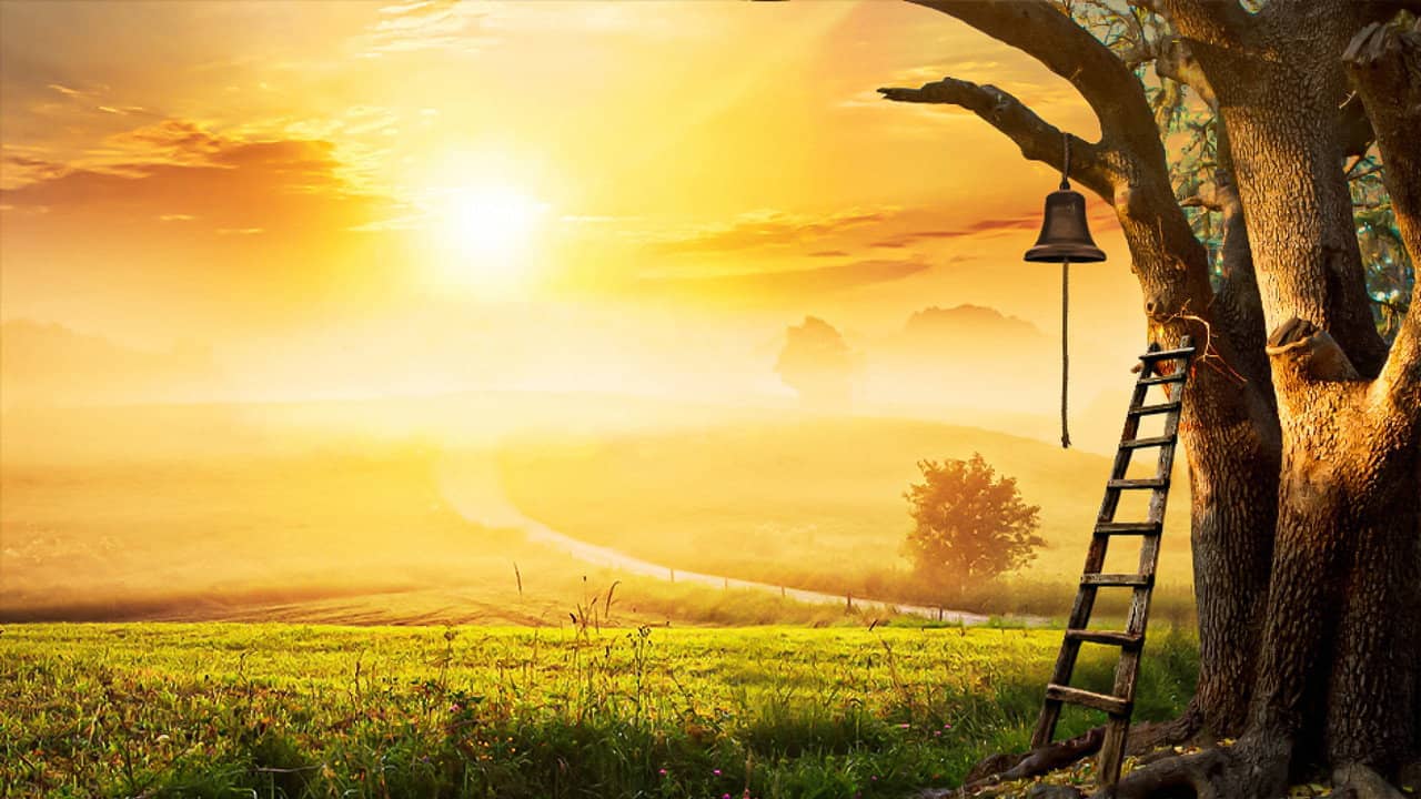 The Farm backdrop