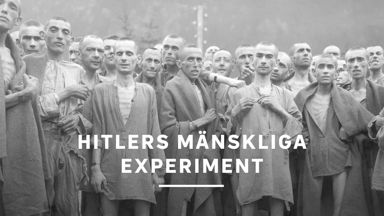 Surviving Hitler's Mad Doctors backdrop
