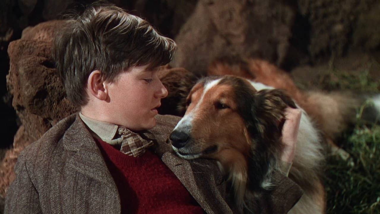Lassie Come Home backdrop