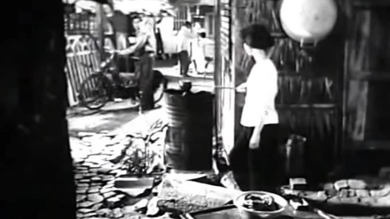 Nguyen Van Troi backdrop
