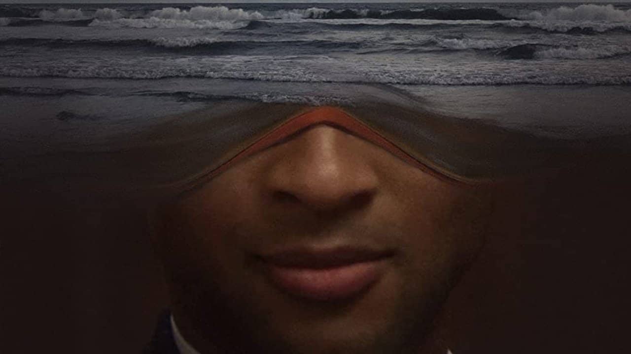 Albatross backdrop