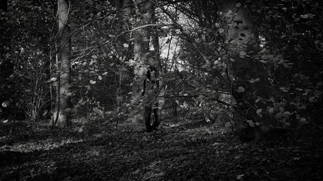 the forest of great mystery and emptiness backdrop